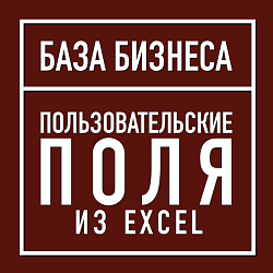 Пользовательские поля из Excel