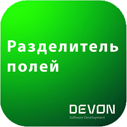 Разделитель полей в сделках, лидах и контактах