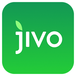 Jivo интеграция