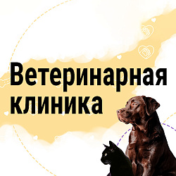 Лендинг пейдж ветеринарной клиники «Krayt.VetClinic»